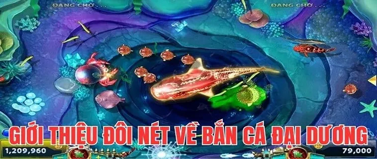 Săn Thưởng Khủng Với Cách Chơi Bắn Cá Đại Dương VVVWin Hiệu Quả Nhất 2 Săn Thưởng Khủng Với Cách Chơi Bắn Cá Đại Dương VVVWin Hiệu Quả Nhất