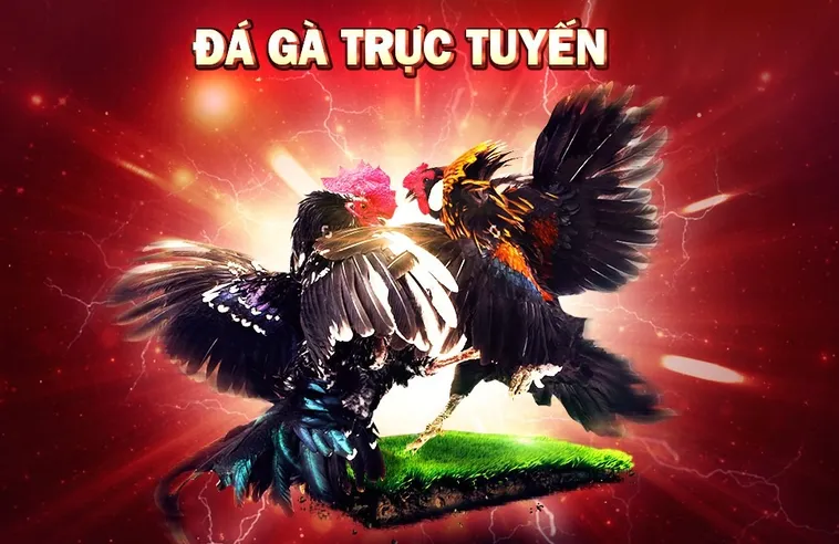 Hướng Dẫn Tham Gia Đá Gà 3D Tại VVVWin: Bí Quyết Thắng Lớn