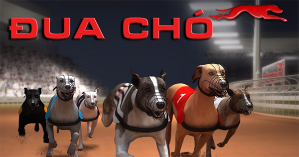 Hướng Dẫn Chinh Phục Game Nhanh Đua Chó Tại VVVWin Siêu Dễ Dàng